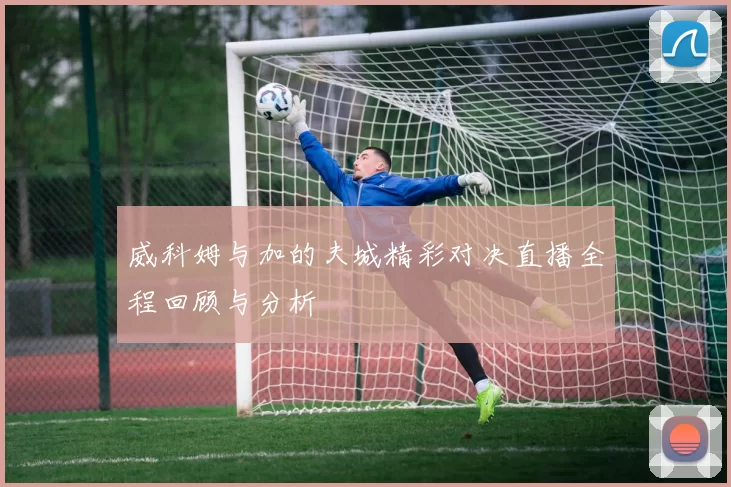威科姆与加的夫城精彩对决直播全程回顾与分析